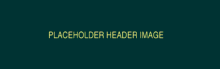1900x600 placeholder